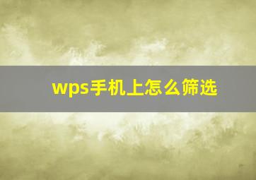 wps手机上怎么筛选