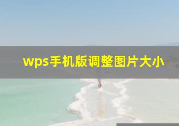 wps手机版调整图片大小