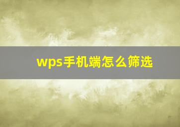 wps手机端怎么筛选