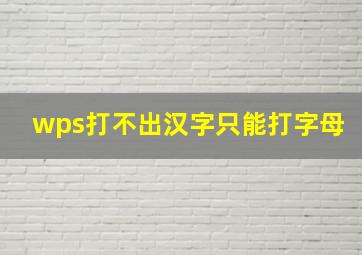 wps打不出汉字只能打字母