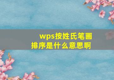 wps按姓氏笔画排序是什么意思啊