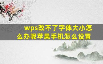 wps改不了字体大小怎么办呢苹果手机怎么设置