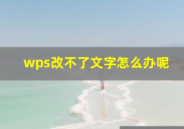 wps改不了文字怎么办呢