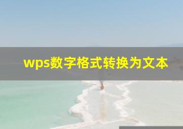 wps数字格式转换为文本