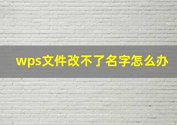 wps文件改不了名字怎么办