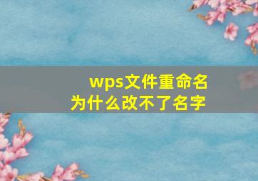 wps文件重命名为什么改不了名字