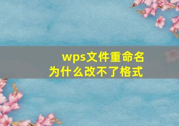 wps文件重命名为什么改不了格式