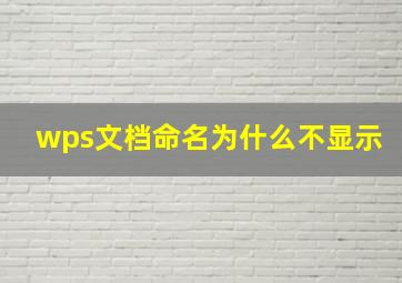 wps文档命名为什么不显示