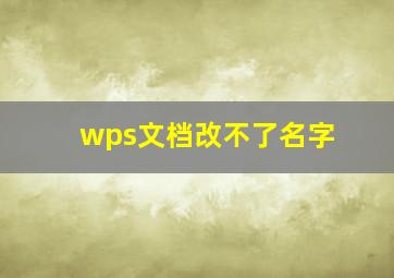 wps文档改不了名字