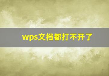 wps文档都打不开了