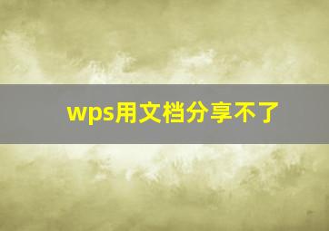 wps用文档分享不了