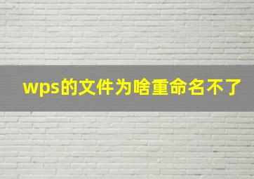 wps的文件为啥重命名不了