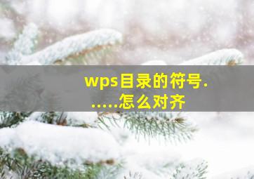 wps目录的符号......怎么对齐