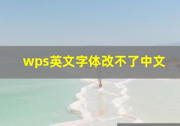 wps英文字体改不了中文