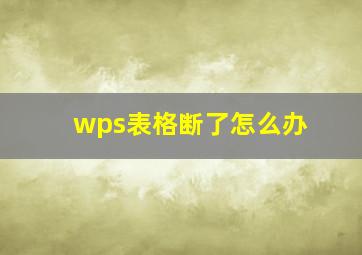 wps表格断了怎么办