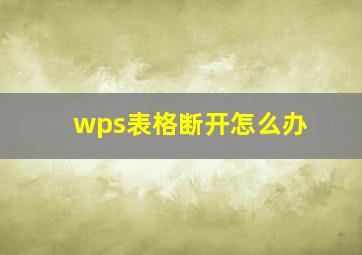 wps表格断开怎么办