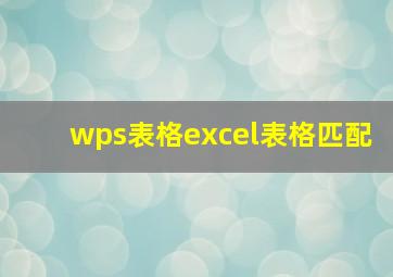 wps表格excel表格匹配