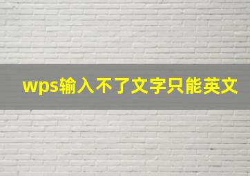 wps输入不了文字只能英文