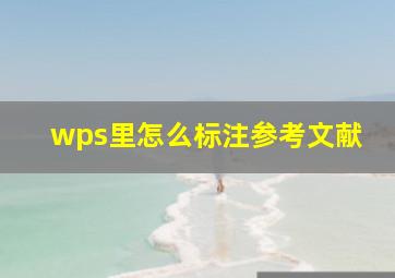 wps里怎么标注参考文献