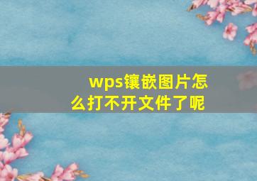 wps镶嵌图片怎么打不开文件了呢