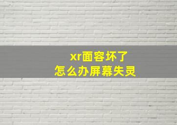 xr面容坏了怎么办屏幕失灵