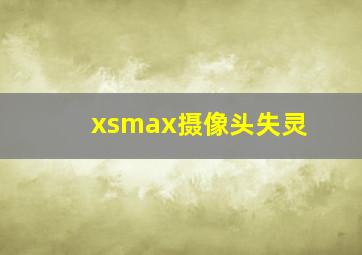 xsmax摄像头失灵