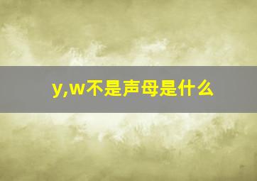 y,w不是声母是什么