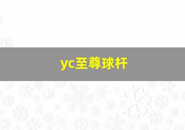 yc至尊球杆