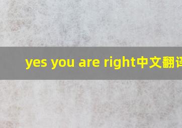 yes you are right中文翻译