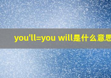 you'll=you will是什么意思