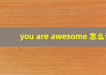 you are awesome 怎么读