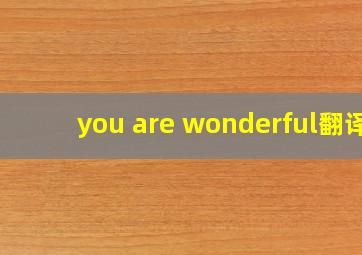 you are wonderful翻译