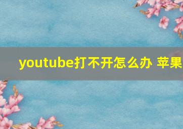 youtube打不开怎么办 苹果