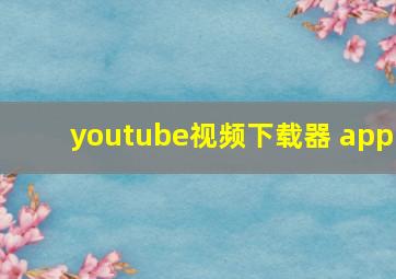 youtube视频下载器 app