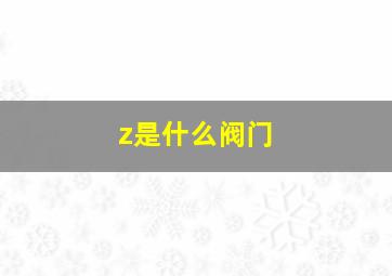 z是什么阀门